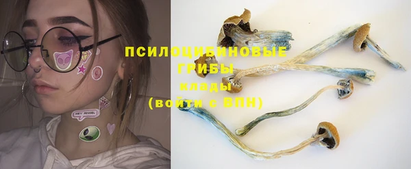 ПСИЛОЦИБИНОВЫЕ ГРИБЫ Абинск