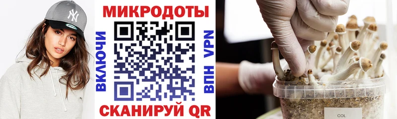 Галлюциногенные грибы Cubensis Сертолово