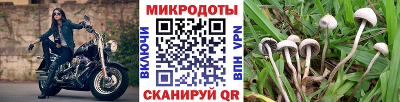 как найти наркотики  Сертолово  Псилоцибиновые грибы Psilocybine cubensis 