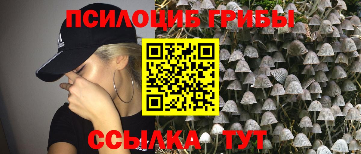 APVP СК кристаллы  Вход с VPN  МАРИХУАНА  Экстази  Меф МЯУ МЯУ кристаллы  Сертолово  Кокаин  ГАШИШ 